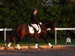 IMG_8021_web